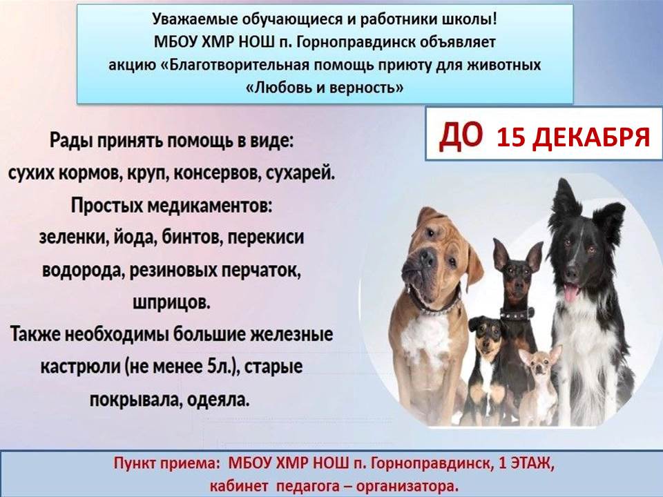 Благотворительная акция приюту для животных п. Горноправдинск.